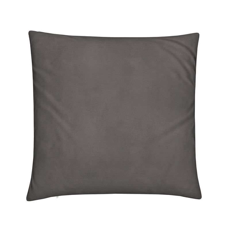 Velvet Cushion